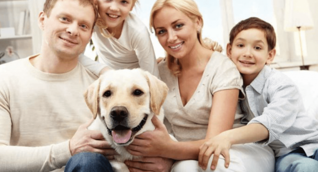 Things You Must Consider When You & Your Family Are Getting A Dog